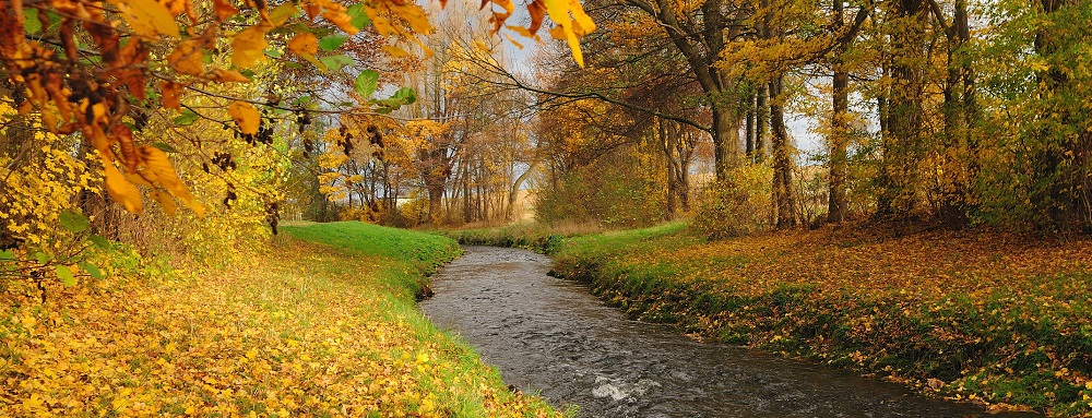 autumn_river_forest_trees_landscape_2144x1424